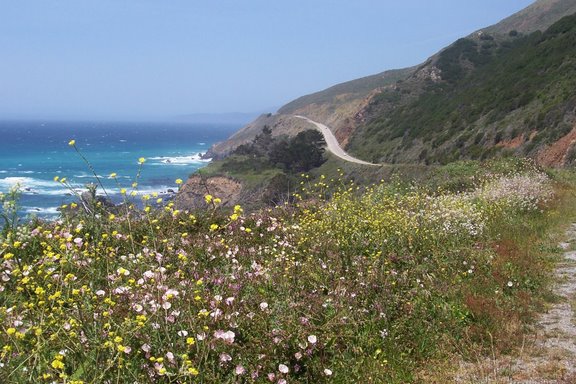 Track5Mountain6.JPG