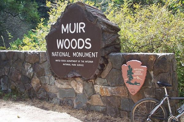 Muir_Woods_21.jpg