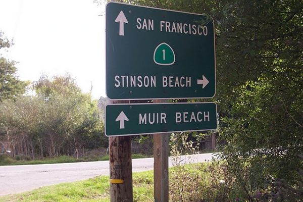 Muir_Woods_22.jpg