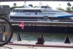 Catalina_Express.JPG