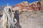 Red_Rock_canyon5.JPG