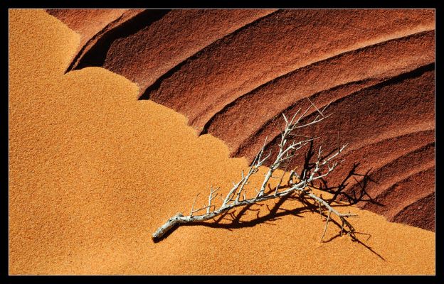 Arizona Desert
mein "favourite picture 2010"

