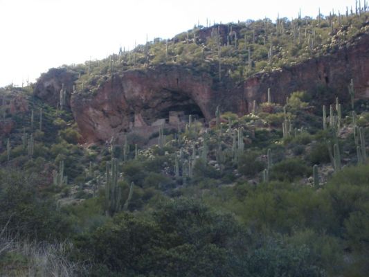 Tonto NM
