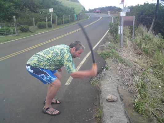 Pololu Beach
