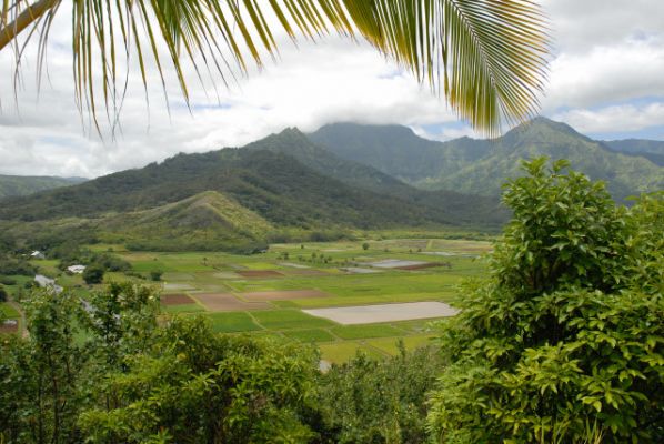 Hanalei
