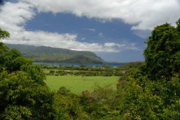 Hanalei Bay
