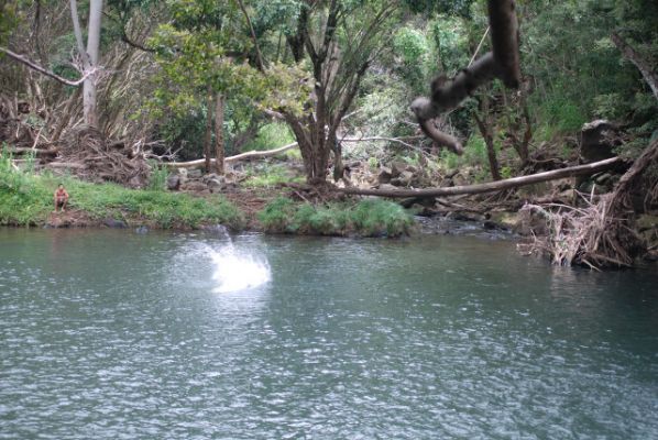 Kipu Falls

