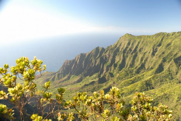 Koko'e State Park

