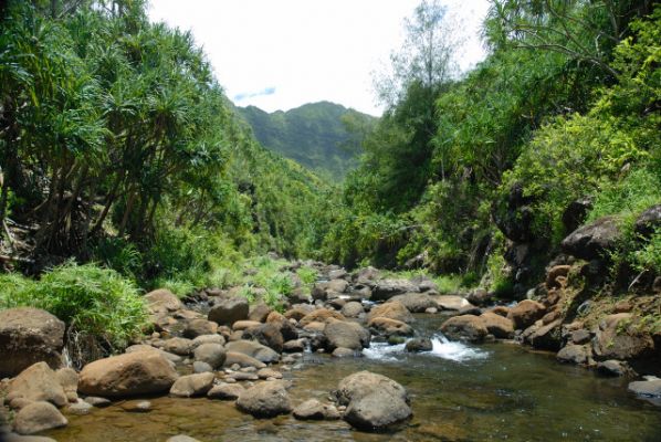 Kalalau Trail vom Ke'e Beach bis zum Hanakapi'ai Beach
