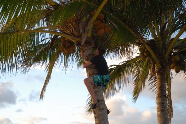 Anini Beach
