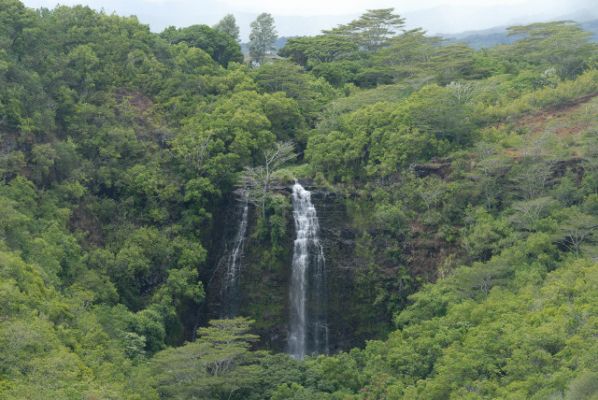 Opaeka'a Falls
