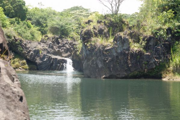 Rainbow Falls Hilo
