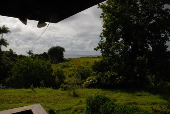 Malia Bree in Onomea Vacation Rental Haus
