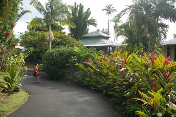 Malia Bree in Onomea Vacation Rental Haus
