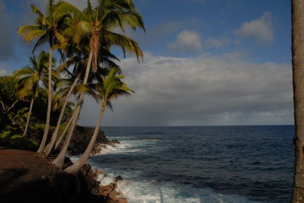 Puna Coast
