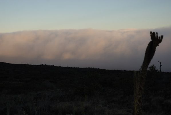 Mauna Kea

