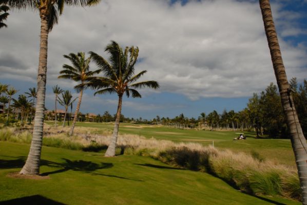 Waikoloa Beach Villas
