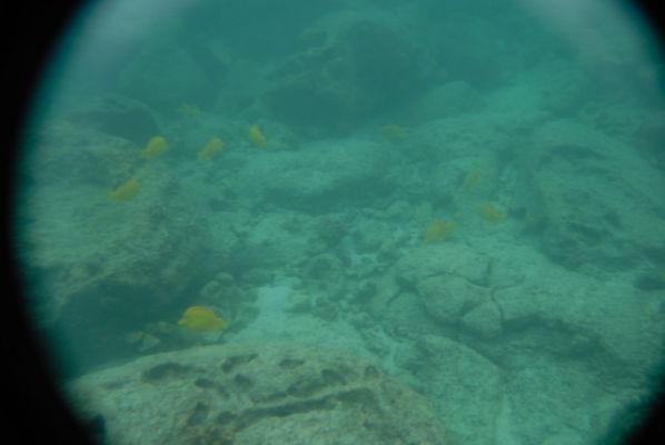Honaunau Bay
