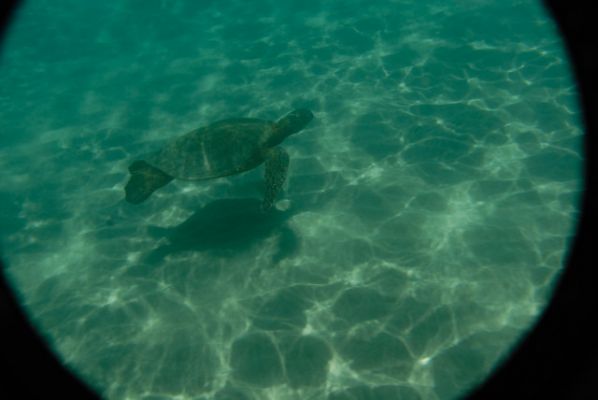 Hapuna Beach
