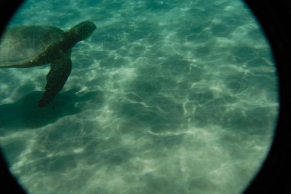 Hapuna Beach
