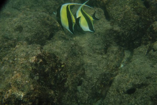 Kahalu’u Beach Park
