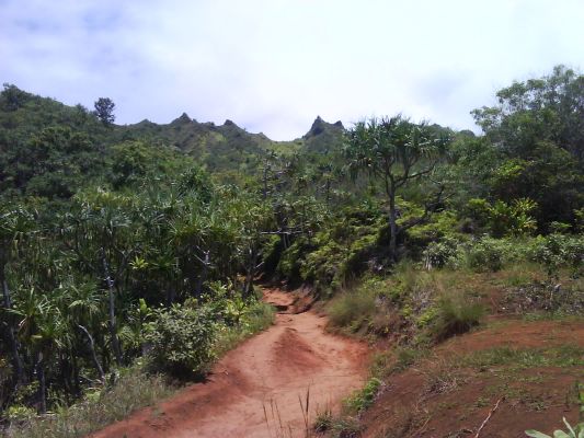 Kalalau Trail vom Ke'e Beach bis zum Hanakapi'ai Beach
