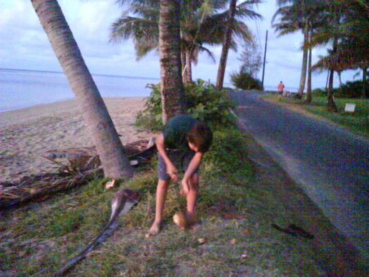 Anini Beach
