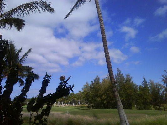 Waikoloa Beach Villas
