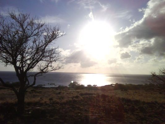 bei Waikoloa
