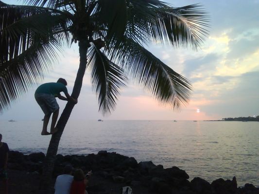 Kona
