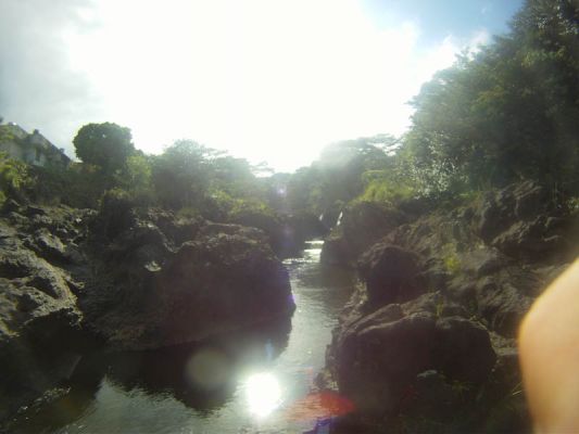 oberhalb der Rainbowfalls, Hilo
