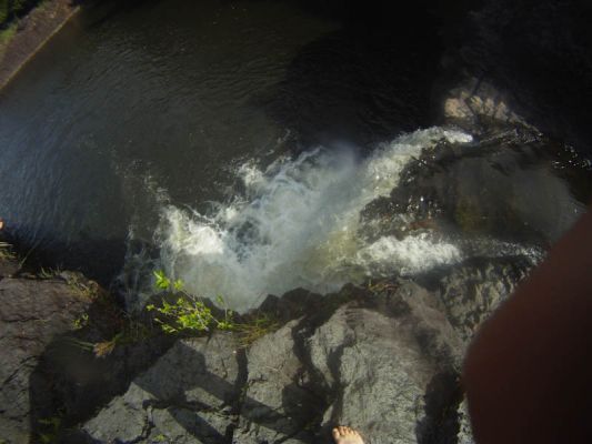 oberhalb der Rainbowfalls, Hilo
