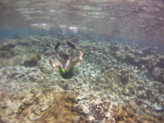 Kapoho Tide Pools
