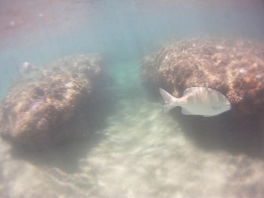 Ahalanui Beach Park
