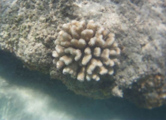 Ke'e Beach
