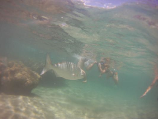 Ke'e Beach
