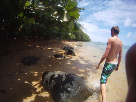 Wyllie Beach
