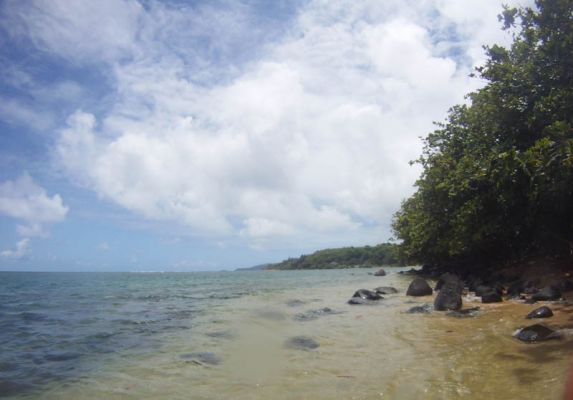Wyllie Beach
