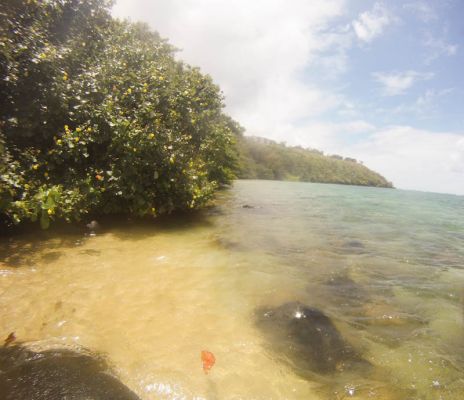 Wyllie Beach
