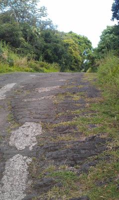 Puna Coast
