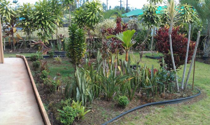 Pahoa Vacation Rental

