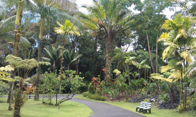 Pana'ewa Rainforest Zoo, Hilo

