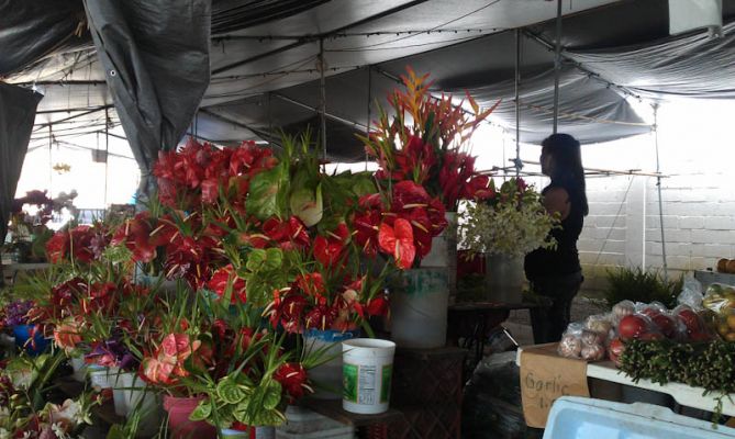 Hilo Farmer's Market
