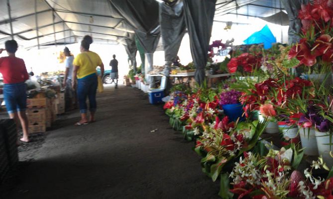 Hilo Farmer's Market
