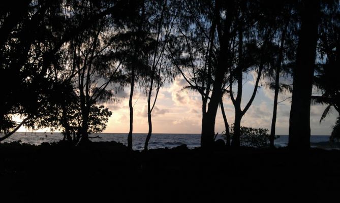 Hawaiian Paradise Park, Puna Coast
