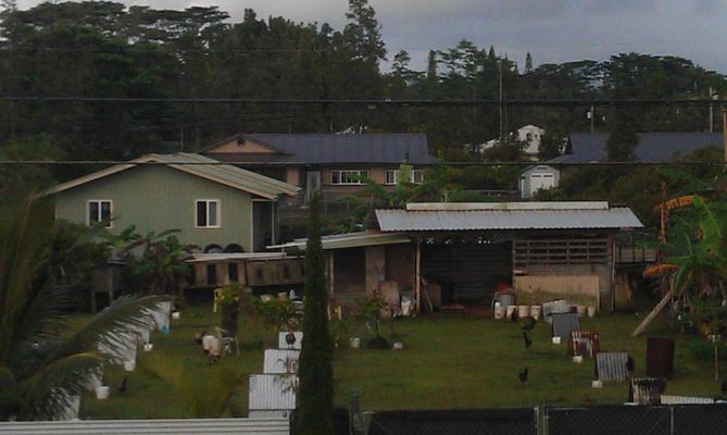 Pahoa Vacation Rental
