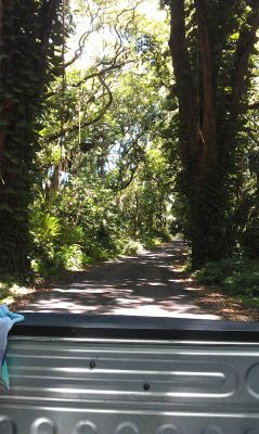 Puna Coast
