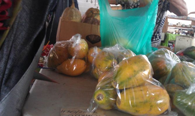 Hilo Farmer's Market
