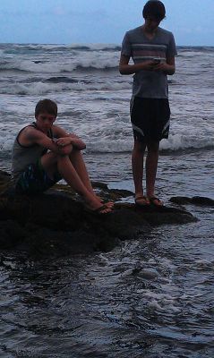 Punalu'u Black Sand Beach
