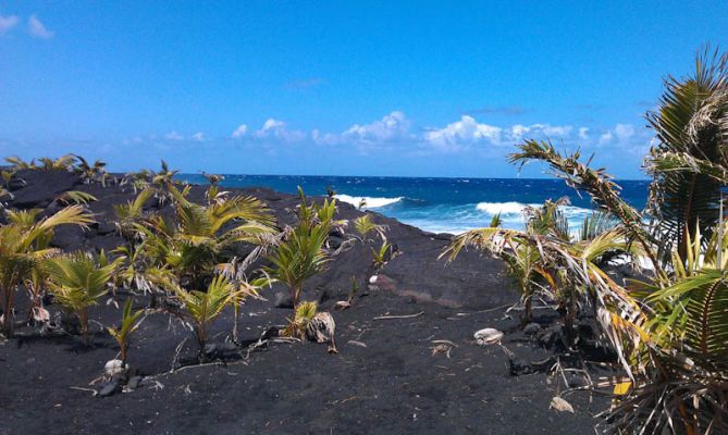 New Kaimu Black Sand Beach
